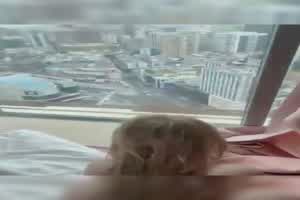 精彩极品！！Onlyfans性感雪乳刺青妹完整集  背景图片