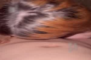 酒吧一夜情约到极品的  背景图片