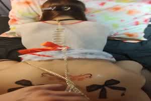 蕾丝狗链肛插调教不听话的小母狗  背景图片