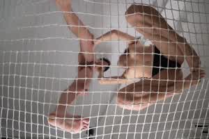 p站网红luna 网上特技表演69肏逼  背景图片