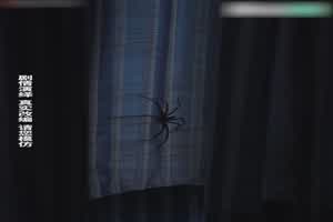 这样的妹妹一个人在家 我可忍不住  背景图片