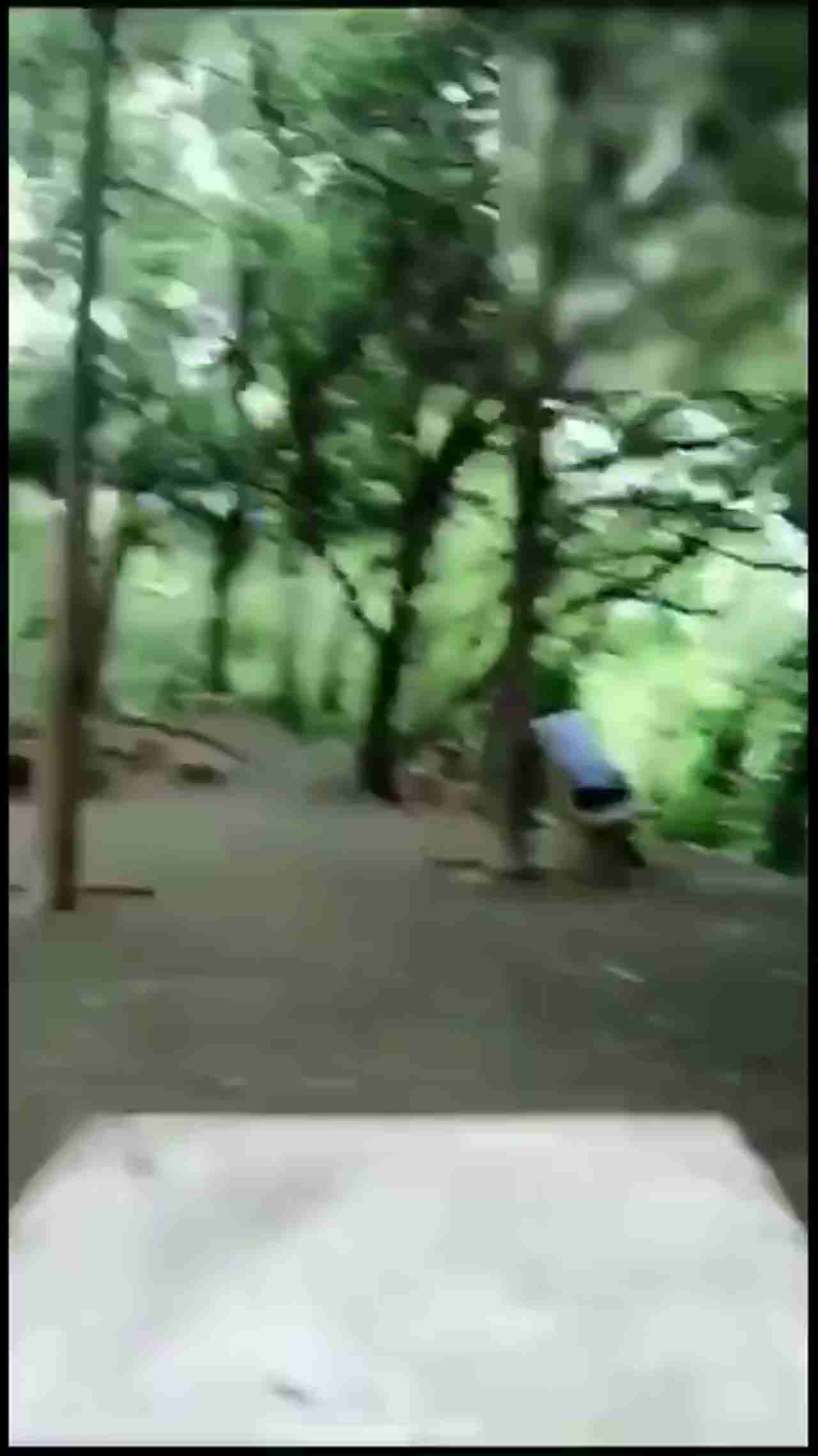  公园玩耍 的剧照1