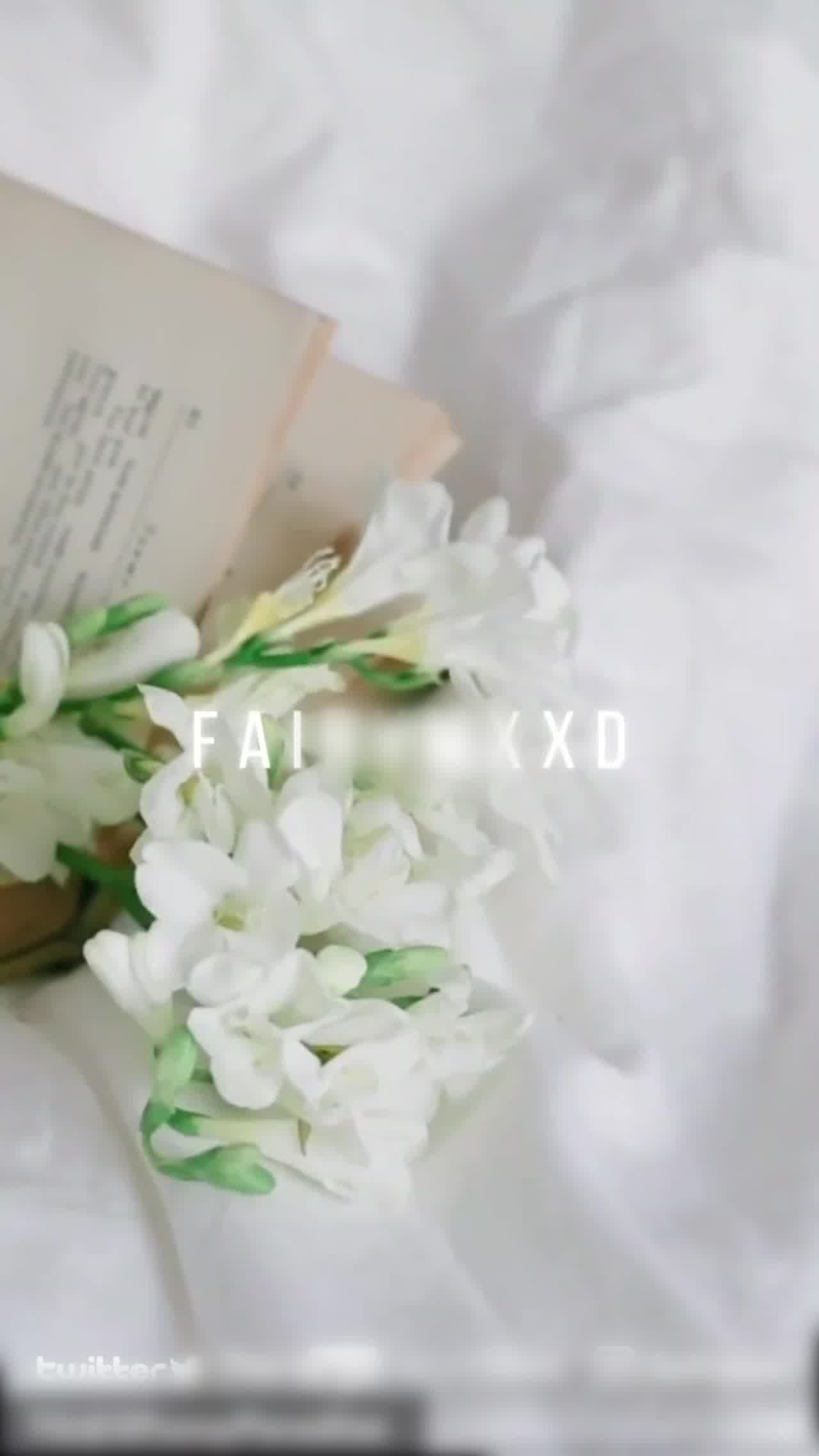  fairymxxd 极品身材小妹妹害羞的不敢露脸 的剧照10