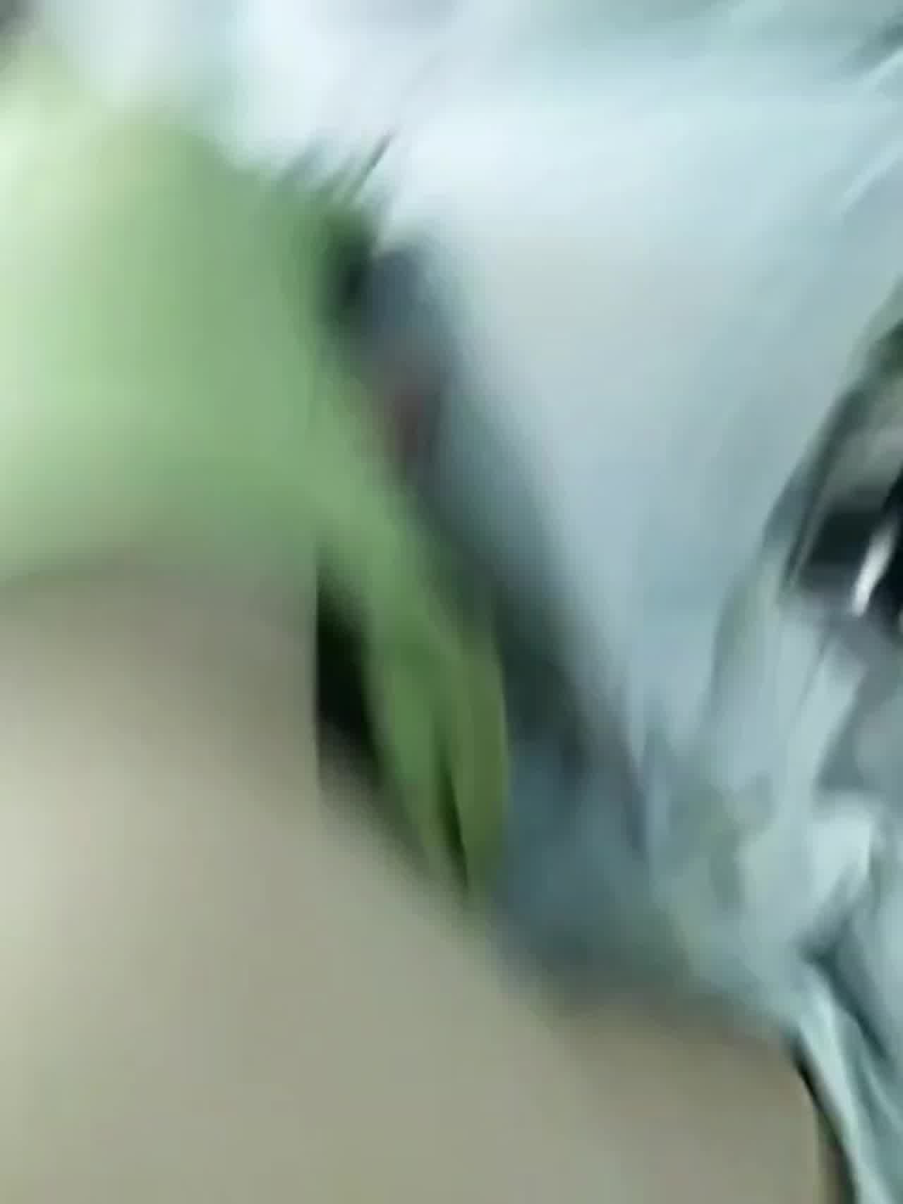  后入 骚母狗 的剧照6