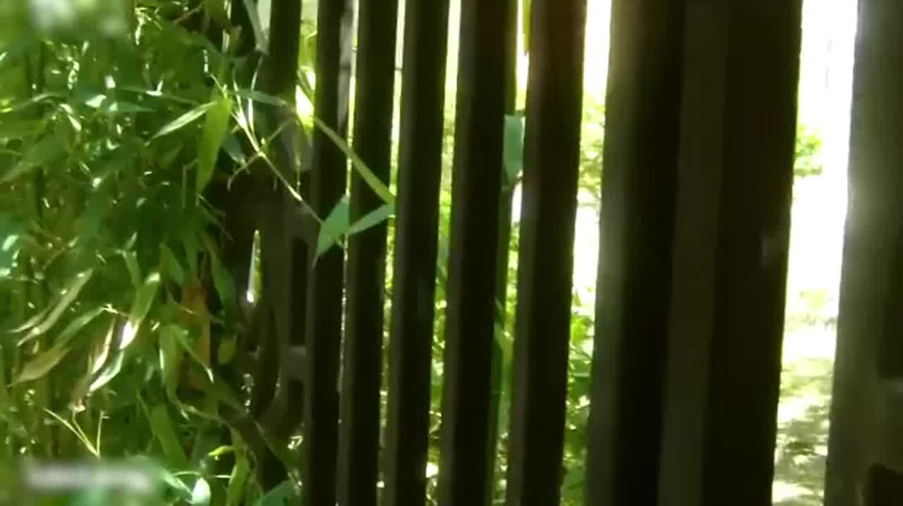  跟踪尾随入室强奸失足女，粗暴地扯开她的衣襟 的剧照10