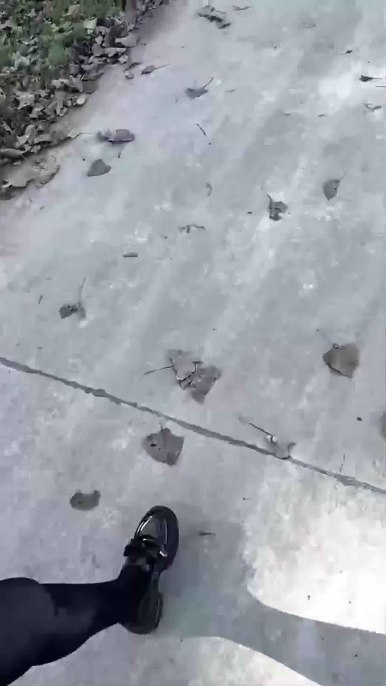  【刚要插进，服务员送菜来了】无奈野战，母狗口交弄湿骚穴，淫水随着抽插顺尿道流出，深射精子都被子宫吃掉 的剧照6