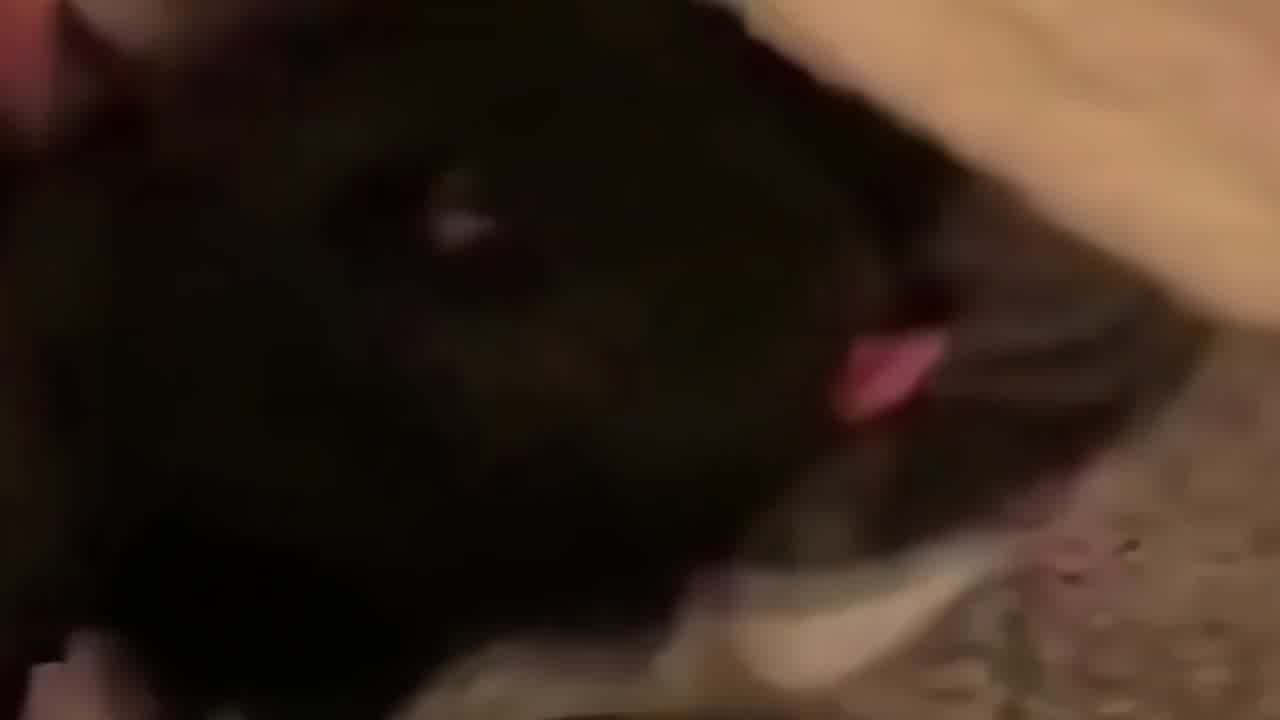  捉奸现场混战群殴，斗小三，街头趴衣大嘴巴子不要钱 的剧照3