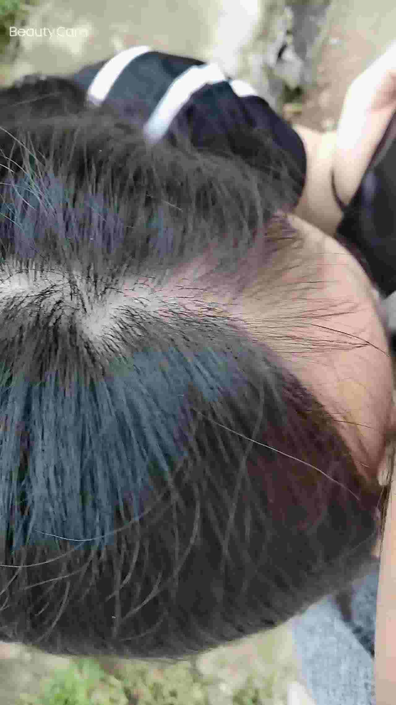  对面好多老头摘枇杷 的剧照6