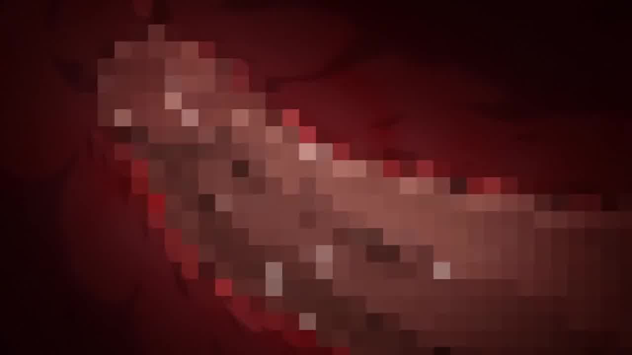  Masterpiece 1 的剧照9