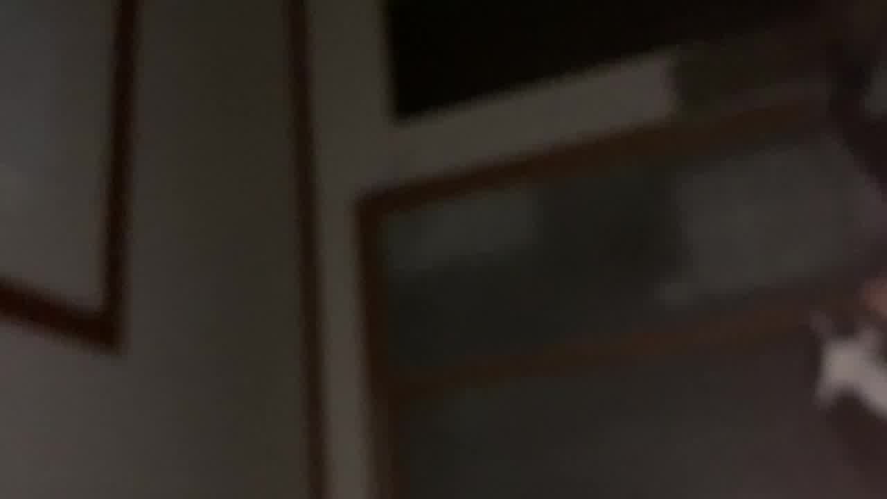  高清69第一视角，抠逼舔舔 的剧照4