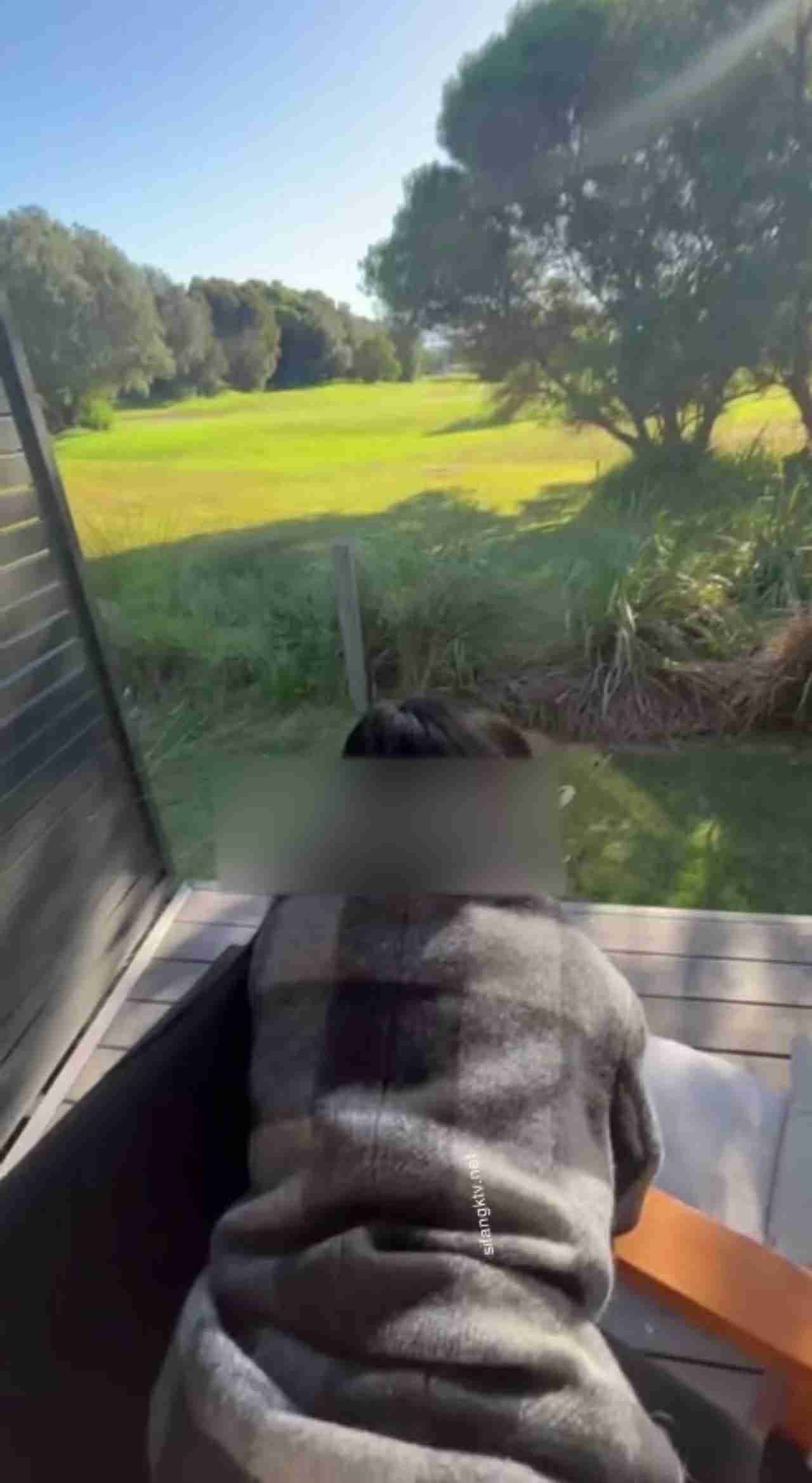  跷臀美肌后入大神 的剧照2