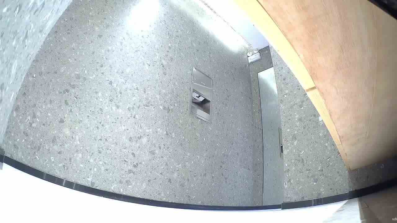  精品厕拍最新流出魔手自购，影剧院豪华女厕，前景偷拍极品白虎美女，漂亮洋妞喜欢站着尿尿。 的剧照8