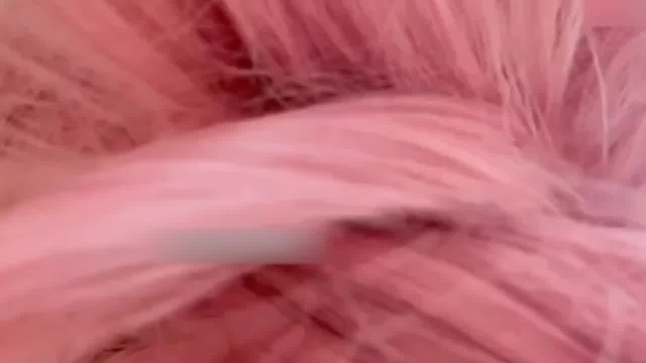  热门网红女神cos卖力吸吮鸡巴扇巴掌狠狠爆插高潮翻白眼内射 的剧照1