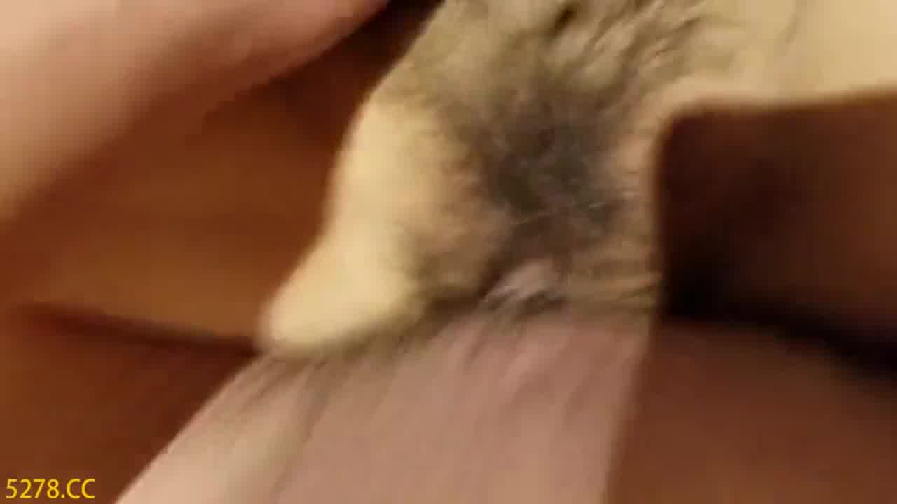  百度云泄密极品高颜值年轻小情侣旅游途中在旅馆啪啪视频流出 高清 的剧照9