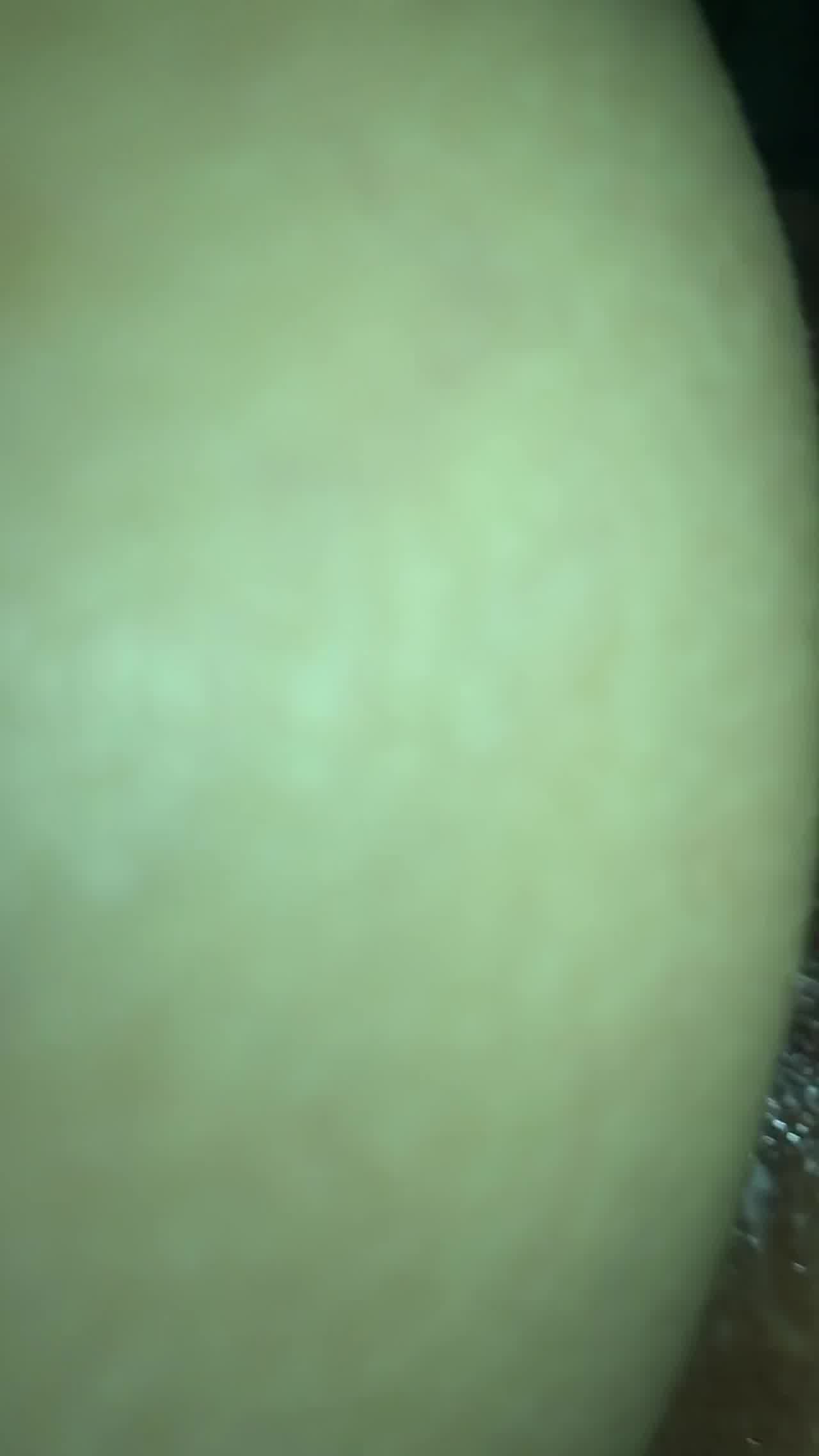  手势，求通过 的剧照2