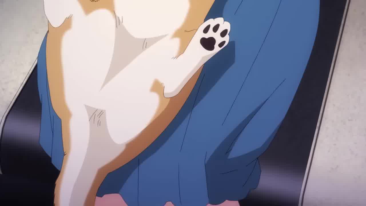  后宫露营 4.5 的剧照10