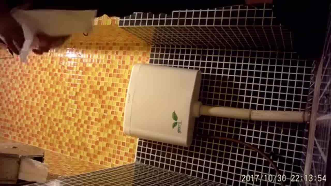  卫生间偷拍颜值极美的商场导购如厕，白虎嫩逼不错不错 的剧照1